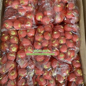 Đèn lồng song hỷ to dạng bóng tròn bằng nhựa Đèn lồng song hỷ to dạng bóng tròn bằng nhựa