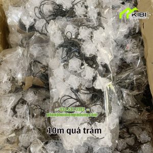Dây đèn trang trí kiểu dây đen loại 10m Dây đèn trang trí kiểu dây đen loại 10m