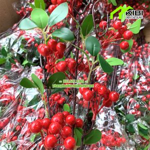 Đào đông lá xanh mẫu mới siêu đẹp trang trí tết (Cành đào đông chùm có các chùm quả đỏ nổi bật xen kẽ là những tán lá xanh)