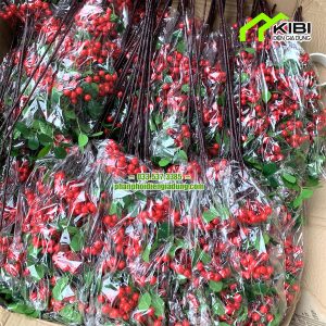 Đào đông lá xanh mẫu mới siêu đẹp trang trí tết (Kho đang sẵn số lượng lớn đào đông chơi tết)
